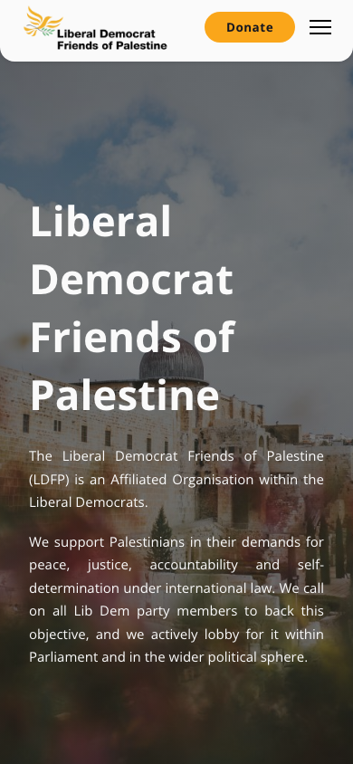 The LDFP homepage on a mobile phone
